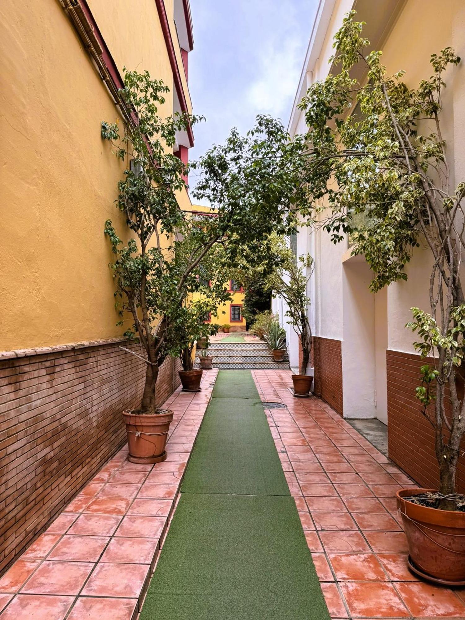 Duplex - Terraza Solarium - Alameda De Hercules * Sewilla